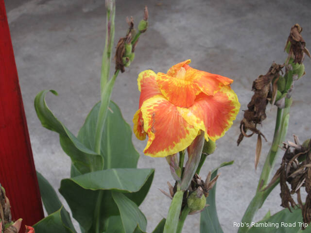 r3t2018-11-15_21-211