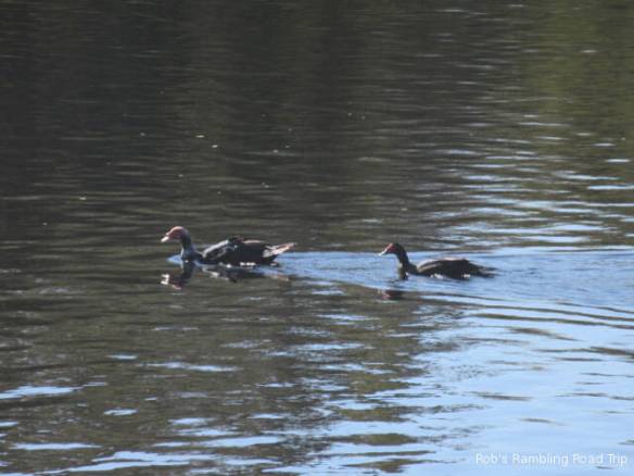 r3t2018-11-17_19-351