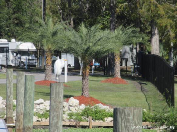 r3t2018-11-17_19-353