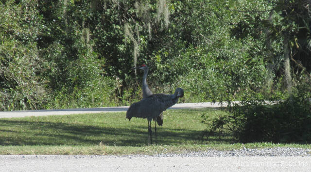 r3t2018-11-17_19-354